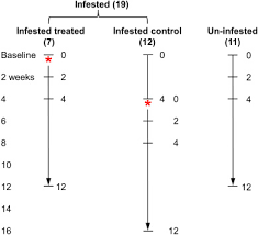 Lisateavet mann vs pest kohta leiate veebisaidilt www.mannvspest.com. Bed Bugs Shape The Indoor Microbial Community Composition Of Infested Homes Sciencedirect