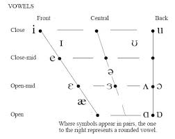 A vowel is a syllabic speech sound pronounced without any stricture in the vocal tract. Ipa