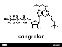 Image result for Cangrelor