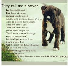 Love Boxers Are Definitely The Best Breed To Have Perfect Family Dogs So Patient And Tolerant Funny Caring P Boxer Dogs Facts Boxer Dog Quotes Boxer Dogs