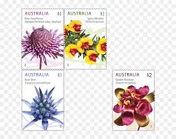 Image result for Dasylepis