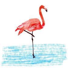 Birds That Start With A Vowel Wordless News One Headline Per Day Vowel And Consonant Free Consonant Vowel Editorial Illustration