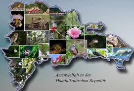 Hier brachten einheimische den forschern auch die überreste von drei toten schlitzrüsslern. Artenvielfalt In Der Dominikanischen Republik