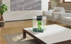 The location and appearance of the decorations and any stationary animals placed inside is random and can be changed without removing. Modern And Unusual Fish Tanks Swell Uk