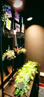 But this renovation by julie nabucet architectures pulls it off. Screen With Greens Make An Indoor Plant Room Divider Ikea Hackers