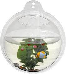 Wall Mounted Fish Aquariumgive Your Fishy Companions A Feathered Creatures Eye Perspective On The Cushion By Moving Them In 2020 Bubble Wall Fish Bowl Glass Fish Bowl