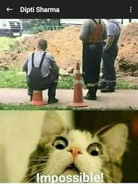 America S Best Pics And Videos Is Fun Of Your Life Images Gifs And Videos Featured Seven Times A Day Animal Memes Funny Animal Memes Funny Pictures