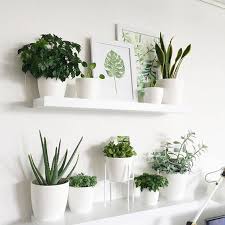 It's a nice way of visually separating the spaces your indoor space will be shielded by the plant boxes and you'll also have a nice green. 32 Inspiring Wall Plant Decorations For Your Living Room Molitsy Blog