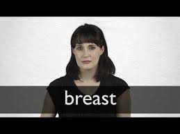 So, what does a diagnosis mean? German Translation Of Breast Collins English German Dictionary