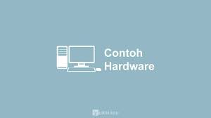 Software adalah data yang diprogram, disimpan, dan diformat secara digital dengan fungsi tertentu. 11 Contoh Hardware Input Output Pengertian Fungsi Jenis