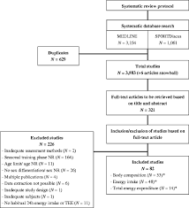 Total Energy Expenditure Energy Intake And Body