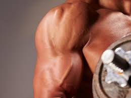 Maybe you would like to learn more about one of these? Gym Eat Repeat The Shocking Rise Of Muscle Dysmorphia Body Image The Guardian