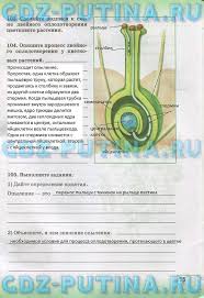 гдз проверочные и контрольные работы по русскому языку 4 класс канакина Otvety K Kontrolnoj Rabote Po Biologii 6 Klass Ponomaryova Algebra Literature Blog