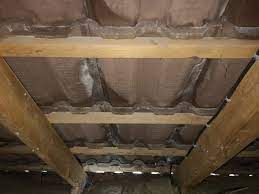 Tuile Humide Linternaute Com