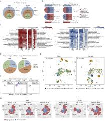 Unique baby names beginning with c can either be casual names or have deep meanings. Caloric Restriction Reprograms The Single Cell Transcriptional Landscape Of Rattus Norvegicus Aging Sciencedirect