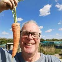 200+ "Frame" profiles