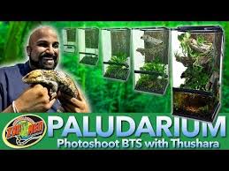 Paludarium Zoo Med Laboratories Inc Zoo Med Zoo Aquascape Aquarium