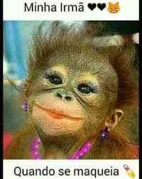 я ль на свете всех милее всех румяней и белее Pin De Jussara Garcia Em Frases Macacos Engracados Memes Em Portugues Memes
