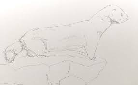 Pencil Drawing Of A Wildebeest How To Avoid Smearing In Order To Avoid Smearing The Drawing Or T In 2020 Realistic Pencil Drawings Drawings Pencil Drawings Of Animals