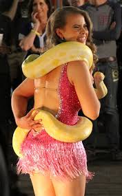 Image result for britney spears python