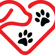 Adoptions must be done in person. Second Chance Rescue Rehoming Inc Home Facebook