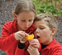 Neil Mclaughlan's Instagram, Twitter & Facebook