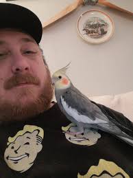 How do we know pack pulls are not predetermined?