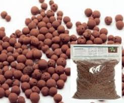 A Complete Guide To Hydroponic Growing Mediums Step By Step Hydroponics