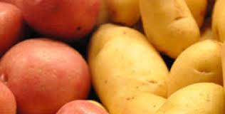 Ne donne pas d'odeur ou de goût à la pomme de terre traité. Anti Cernes La Pomme De Terre Femmezine Fr