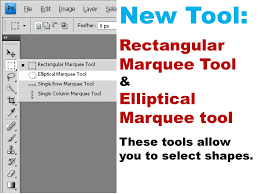 7.1 rectangle and elliptical marquee tool. Selecting And Layering Multiple Images Ppt Download