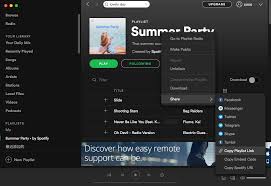 How To Download Spotify Music Without Premium