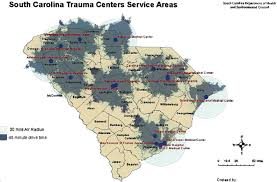 Image result for Trauma Center Level