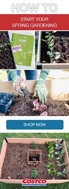 A potting soil of 2/3 regular potting soil and 1/3 course sand or you can buy a cactus potting soil. Garden Journal From The Backyard Garden Box To The Back Porch Table Container Gardening Garden Boxes Backyard Garden