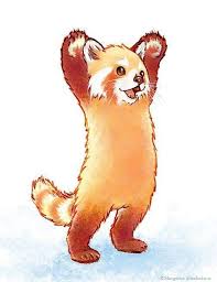 Red Panda Says Hi Panda Art Panda Drawing Cute Animal Drawings