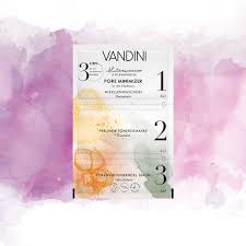 Michigan had the highest population of vandini families in 1880. Vandini