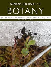 Image result for Oreosyce africana