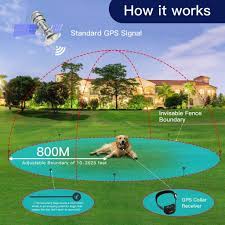 Here is how to install this type of fence. 12 Best Wireless Invisible Dog Fences 2021 The Ultimate Guide
