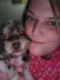 My sweet baby she's a parti yorkie