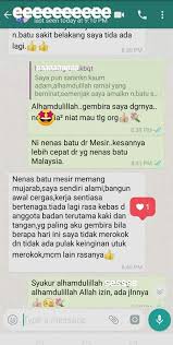 Buah ini bila direndam, kelopaknya akan tertutup rapat. Nenas Batu Akar Fatimah Buah Zuriat Serbuk Debunga Kurma Home Facebook