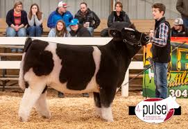 VCCP ( Harrisonburg, VA)