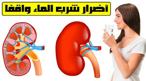 تعرف على كيفية نقع القدمين في الماء البارد وما لها من فوائد فى التخلص من الإجهاد والتوتر Youtube