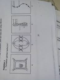 Untuk … sebutkan isomer senyawa c7h16 dan namanya selengkapnya. Sebutkan Nama Nama Bagian Gambar C Amp D Materi Bagian2 Kromosom Brainly Co Id