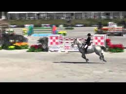 Video of Egor ridden by Alexandra Millar from ShowNet!