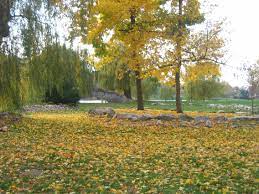 Upper Onondaga Park Strathmore Neighborhood Syracuse Ny The Neighbourhood Country Roads Strathmore