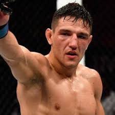 Nick Hein vs. Damir Hadžović, UFC Fight Night 134