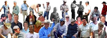 Content Contributors, About TBH