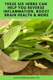 These Six Herbs Can Help You Reverse Inflammation Boost Brain Health And More Healthiest Center Herbs Health And Wellness Center Health
