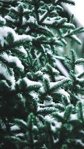 Multiple sizes available for all screen sizes. 50 Free Stunning Christmas Wallpaper Backgrounds For Iphone