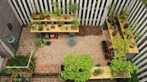 Bonsai become weaker after repotting, and wiring after repotting will harm your bonsai and shift its roots. How To Repot A Bonsai Tree And The Reasons For Doing So Dengarden