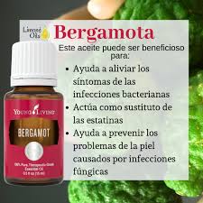 Bergamota Recetas De Aceites Esenciales Aceite Esencial De Sandalo Combinaciones De Aceites Esenciales